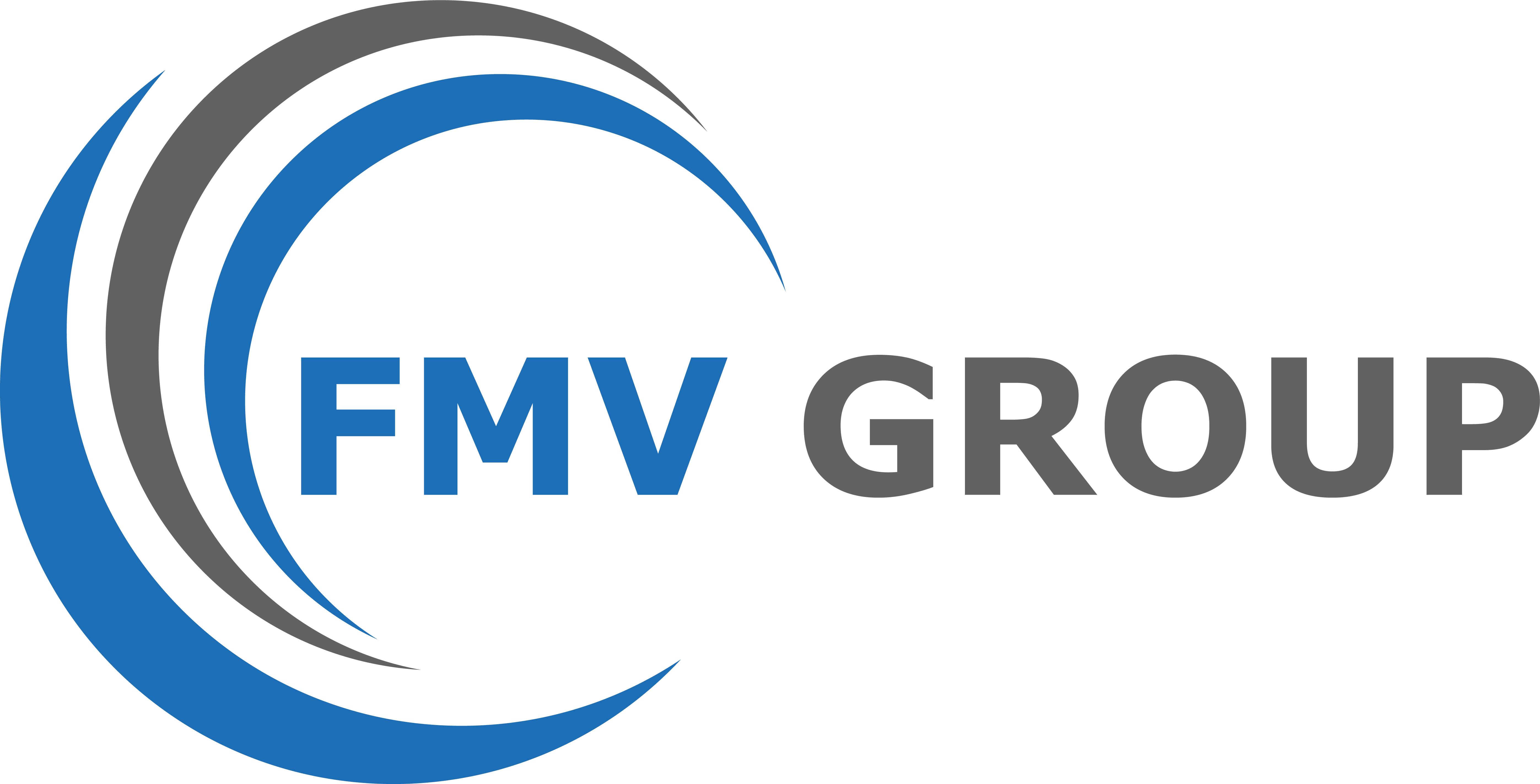FMV Group logo