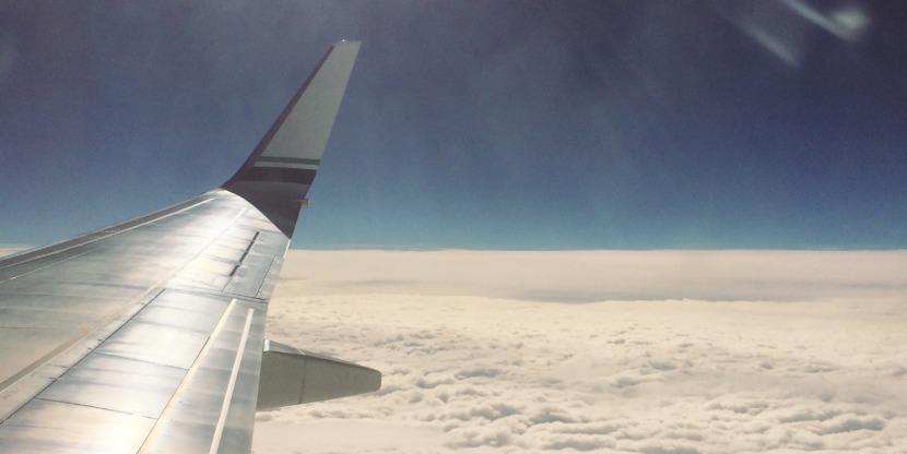 141216_TammyStrobel2_1