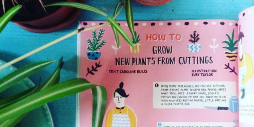 20130310_RubyTaylor_Howto_Grwoplants_2