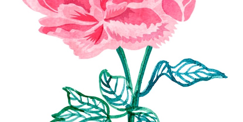 20160128_Questionstoaskyoursefl_2