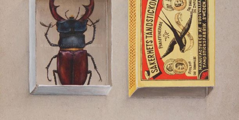 20160417_Tekenweek_GAI_weetje1