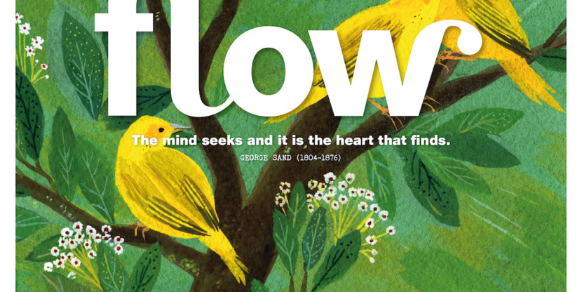 2017_Cover_INT 20 groot