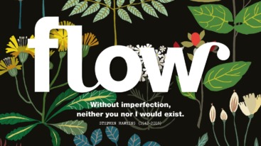 2019_cover_INT29 HR – kopie