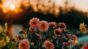 aan alle lieve stoere mensen