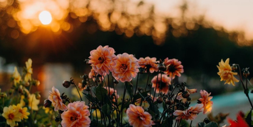 aan alle lieve stoere mensen