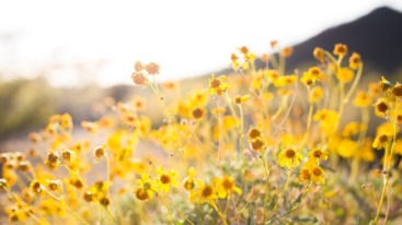 learning something new