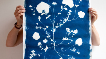 cyanotype