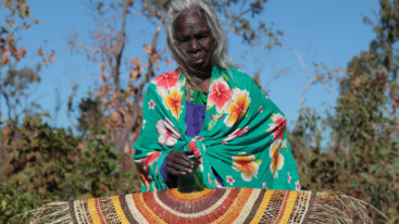 Alvaro Catalán de Ocón