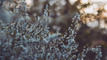 Offline is the new luxury