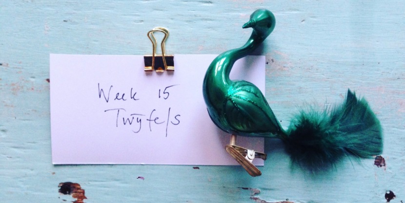 IMG_7377.jpg kopie 2