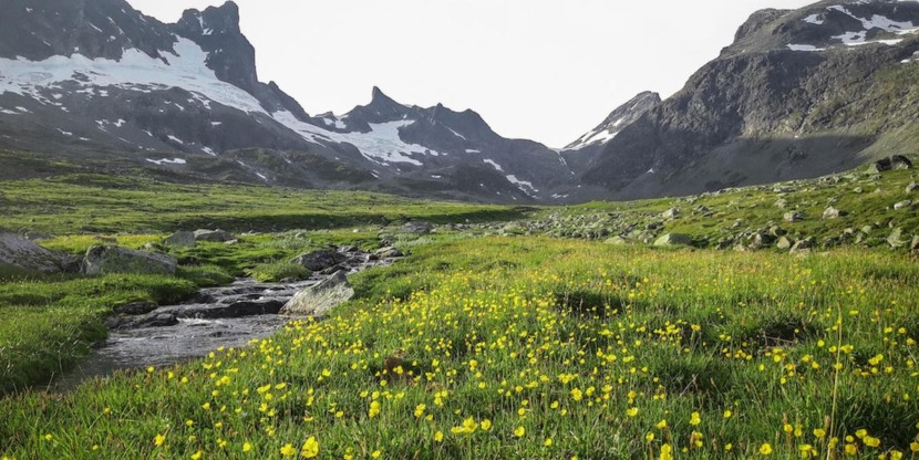 matej-drha-f3yuvwslpok-unsplash