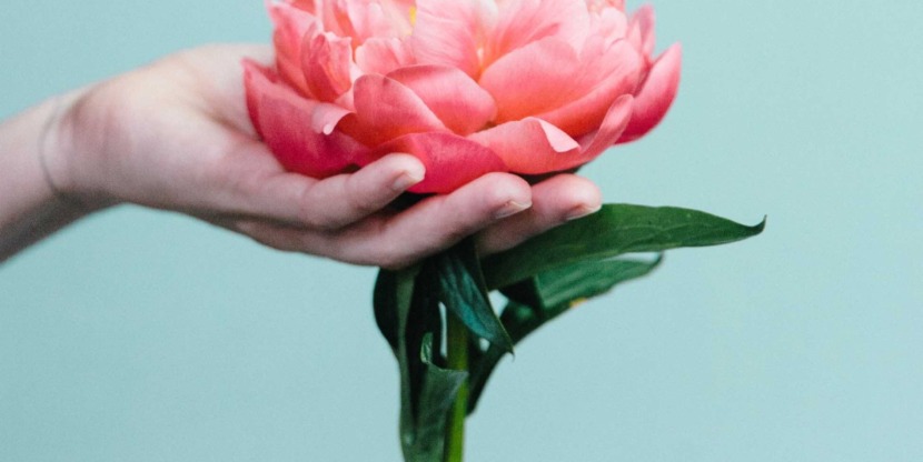 stocksy_txp1d492eb5rmk000_large_604017-kopie