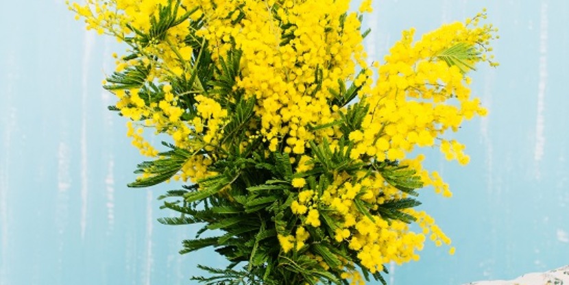 stocksy_txp41de2defcq8100_large_881328