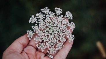 Stages of friendship