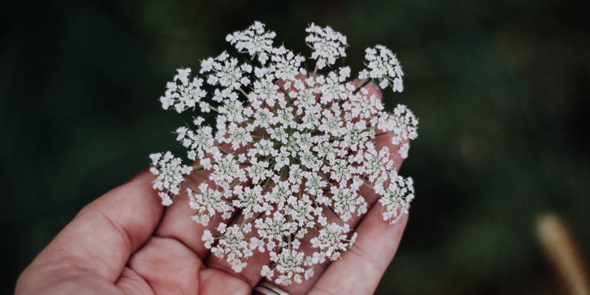 Stages of friendship