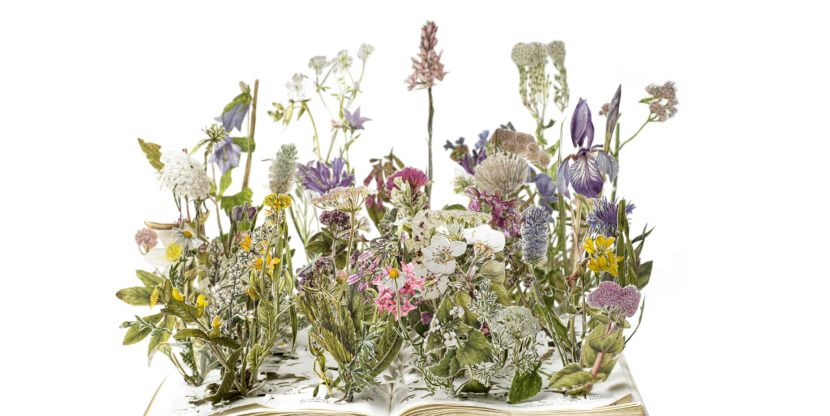 The Beauty is in the detail