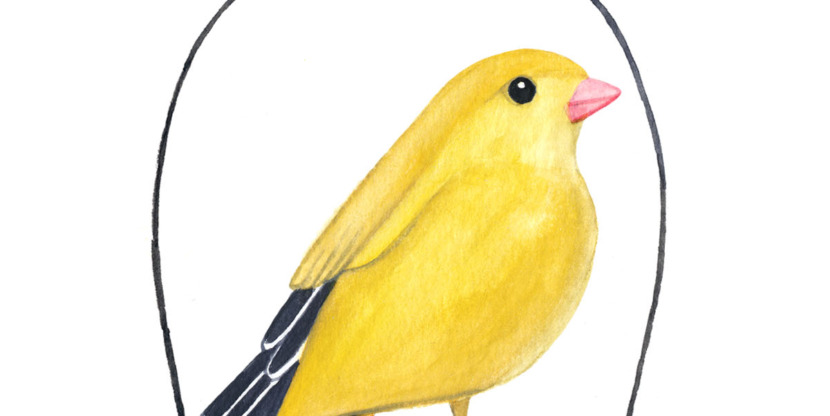 Valesca van Waveren life lessons