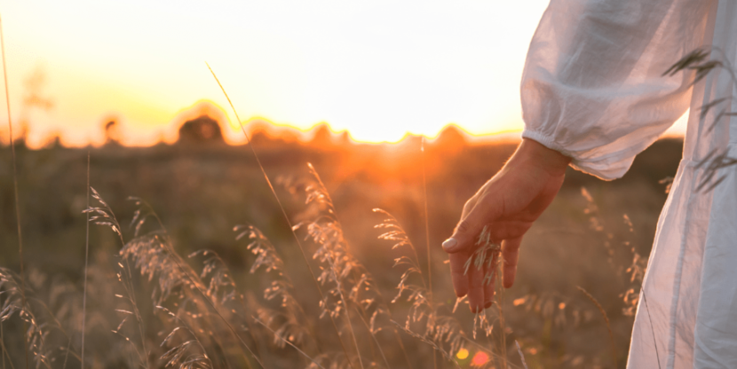 Offline themacampagne