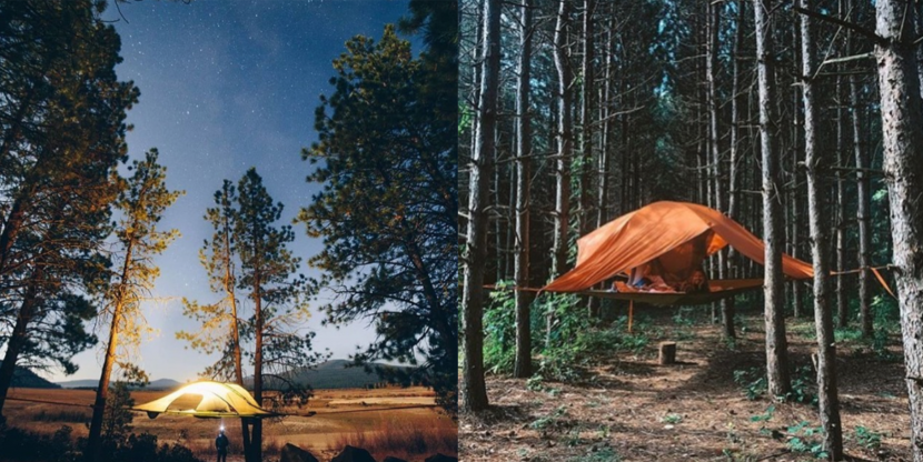 tentsile